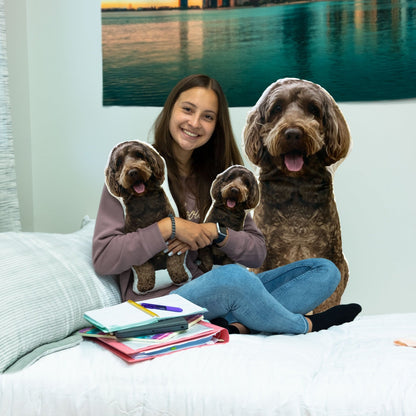 Personalized Pet Pillow