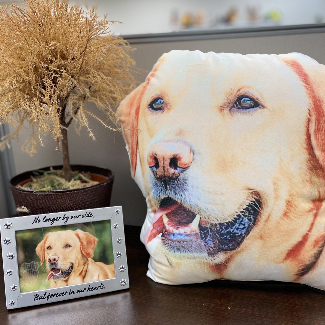 Personalized Pet Pillow